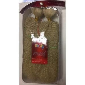 Afro Kinky Bulk 24 inch color 613